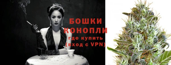 шишки Бородино