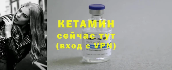 шишки Бородино