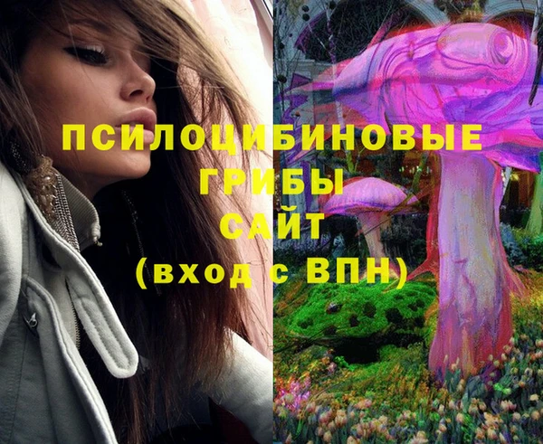 spice Верхний Тагил