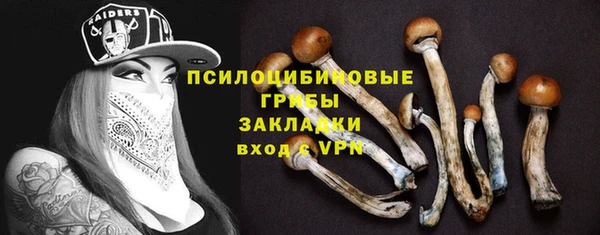 мет Богданович